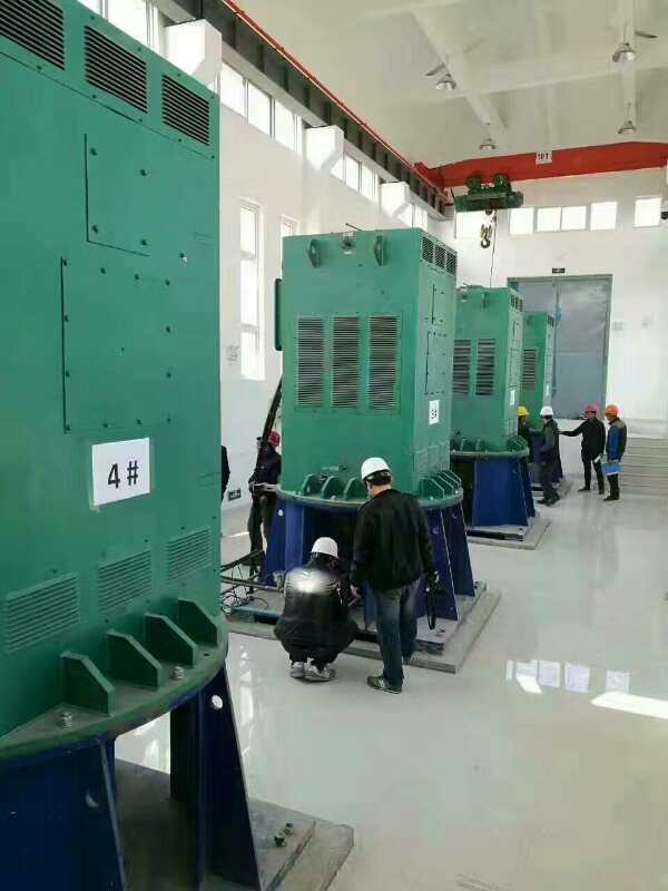 Y5006-12某污水处理厂使用我厂的立式高压电机安装现场