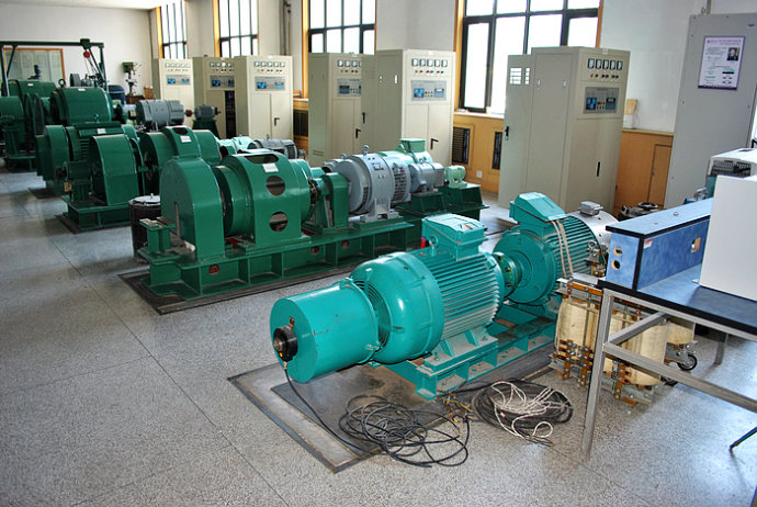 Y5006-12某热电厂使用我厂的YKK高压电机提供动力
