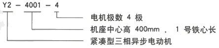 YR系列(H355-1000)高压Y5006-12三相异步电机西安西玛电机型号说明